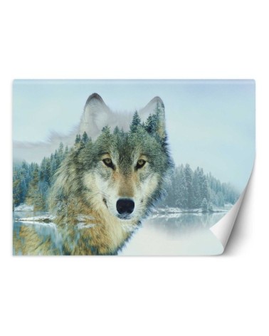 Unique wall murals - Wolf lake | FEEBY