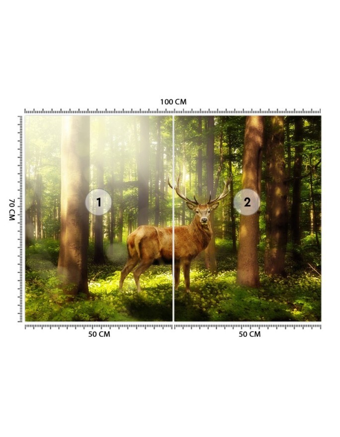 Oryginalna fototapeta na ścianę - Jeleń w lesie | FEEBY
