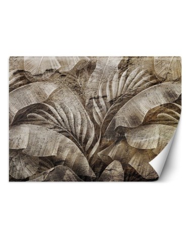 Designer wall murals - Tropical leaves concrete texture | FEEBY