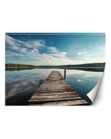Unique wall murals - View from a pier overlooking a lake and forest | FEEBY