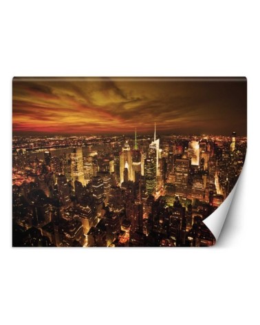 Modern murals for the living room - New York Manhattan | FEEBY