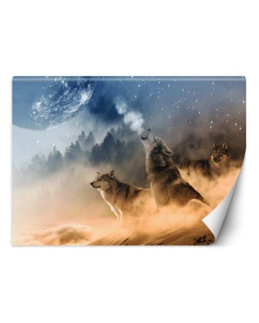 Unique Wallpapers for the living room - Wolves forest in the fog | FEEBY