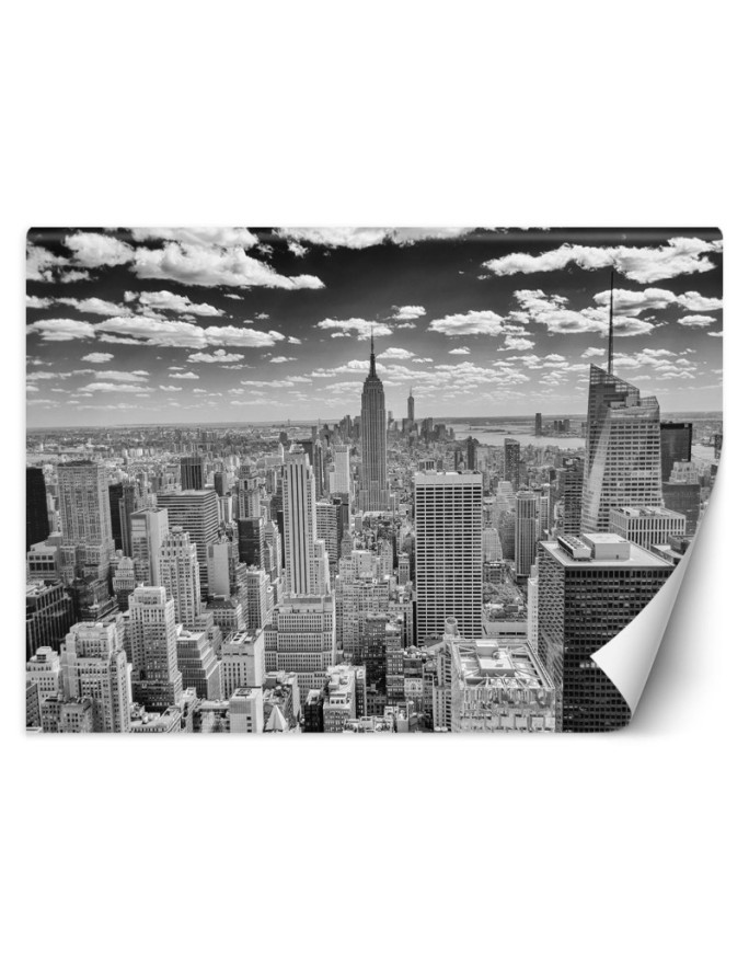 Fototapety architektoniczne - Manhattan panorama miasta | FEEBY