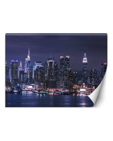 Modern murals for the living room - New York at night | FEEBY