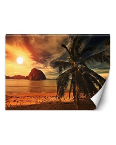 Exotic Wallpapers - Sea palm trees sunset | FEEBY