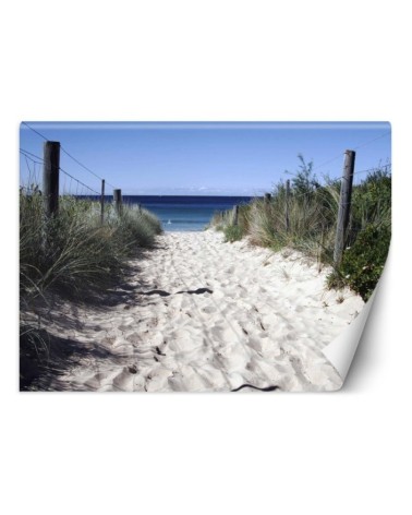 Wall mural - Road to the beach sand dunes | FEEBY