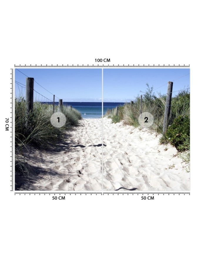 Fototapeta z widokiem - Droga na plażę wydmy piasek | FEEBY