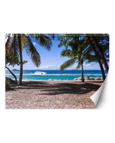 Fototapeta z widokiem - Piaszczysta plaża pomiędzy palmami | FEEBY