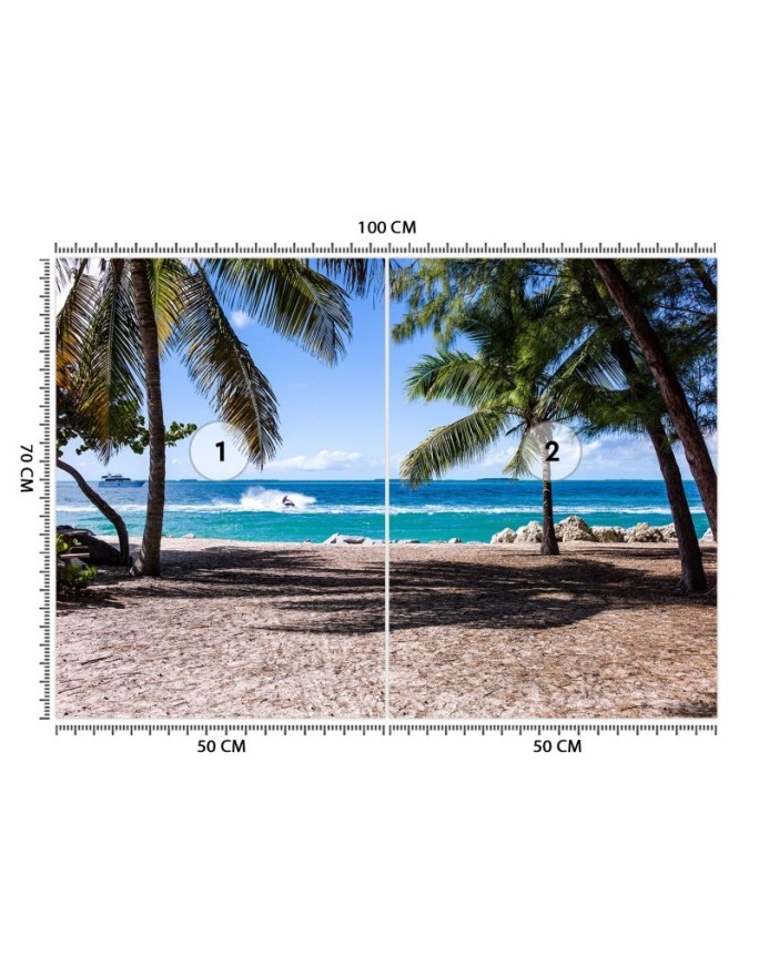 Fototapeta z widokiem - Piaszczysta plaża pomiędzy palmami | FEEBY