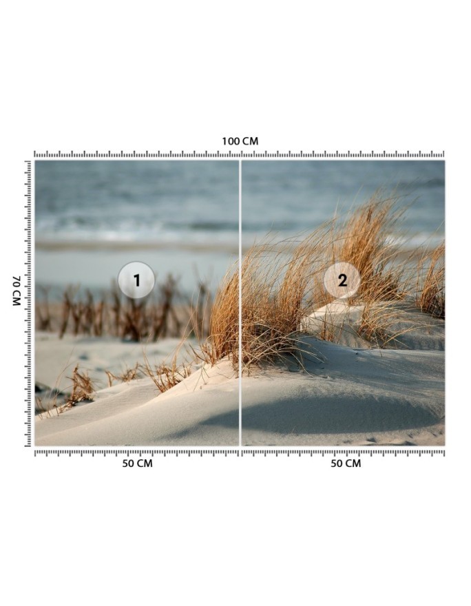 Najmodniejsze fototapety - Wydmy nad Morzem Bałtyckim | FEEBY