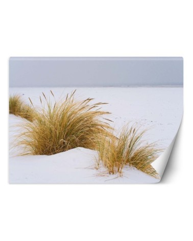 Wall mural - Dunes on golden sand | FEEBY