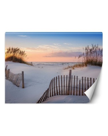 Beautiful wall mural - Beach on the Baltic Sea | FEEBY