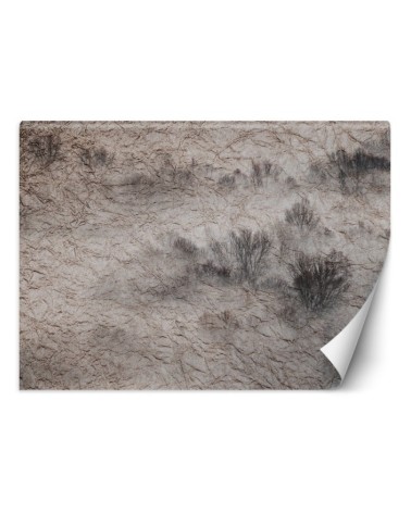 Modern living room wall mural - Meadow in the mist | FEEBY