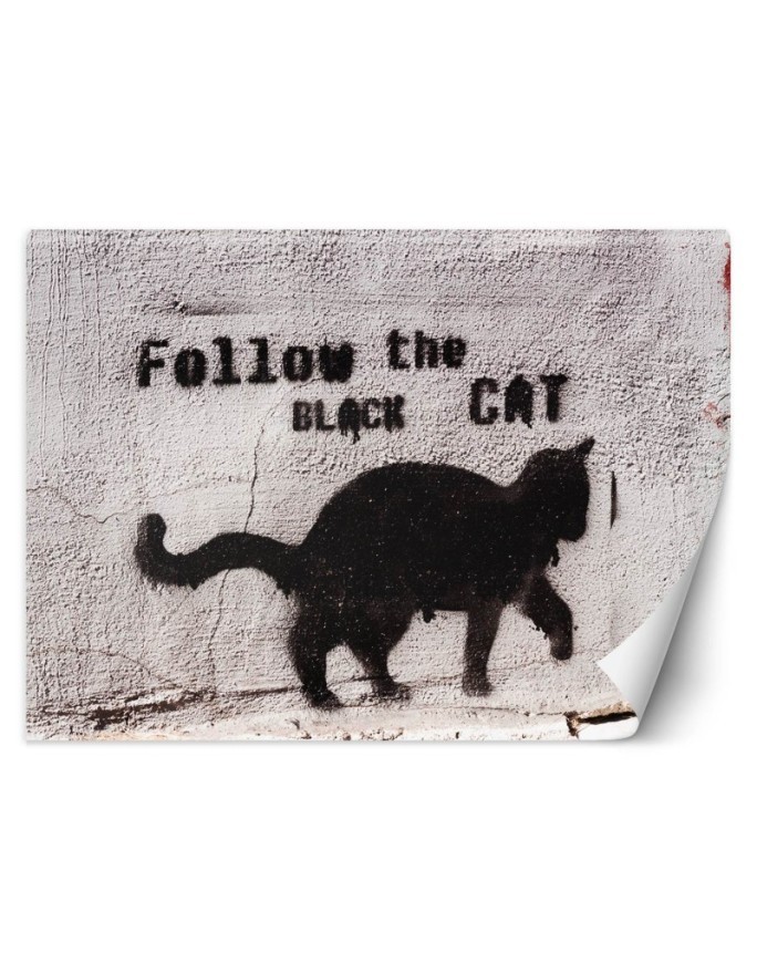Najmodniejsze fototapety - Czarny kot follow the black cat beton | FEEBY