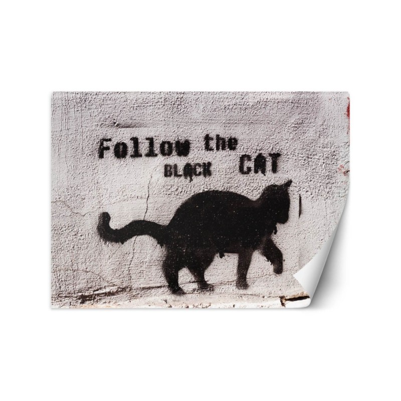 Najmodniejsze fototapety - Czarny kot follow the black cat beton | FEEBY