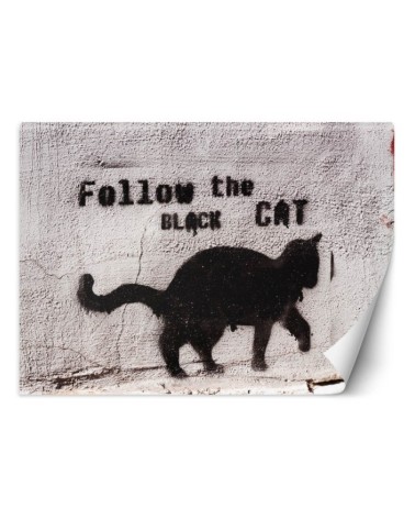Najmodniejsze fototapety - Czarny kot follow the black cat beton | FEEBY