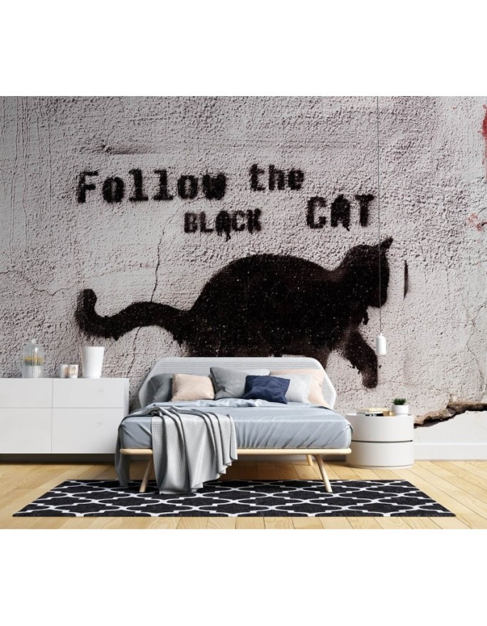 Najmodniejsze fototapety - Czarny kot follow the black cat beton | FEEBY