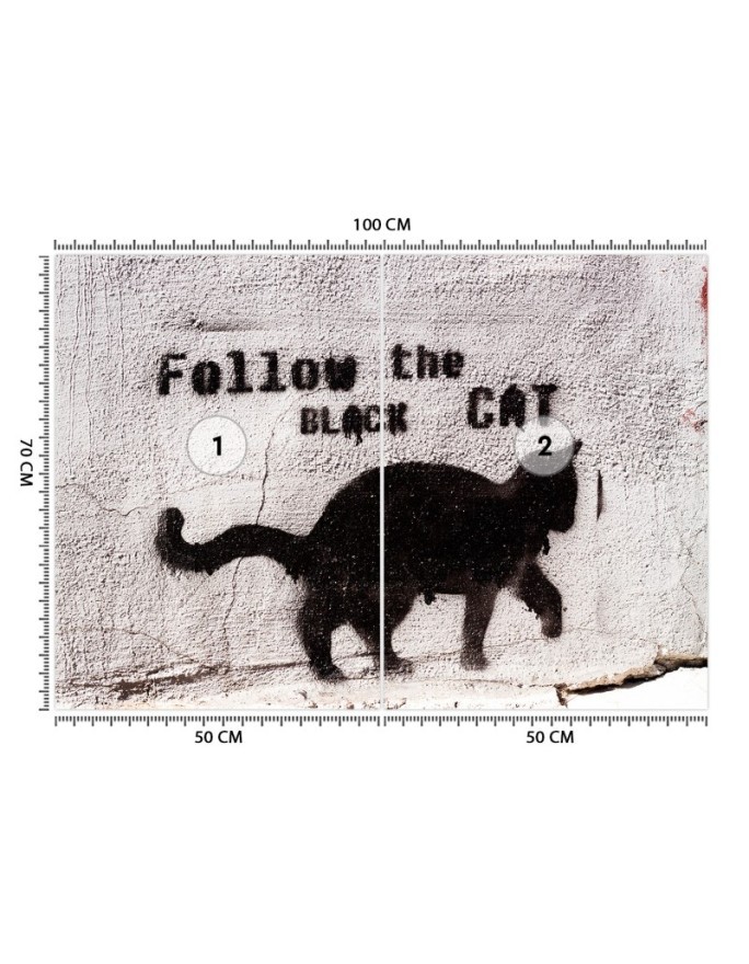 Najmodniejsze fototapety - Czarny kot follow the black cat beton | FEEBY