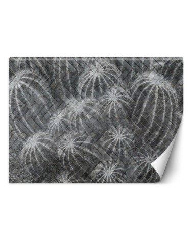 Exclusive Wallpapers - Cacti in grey | FEEBY