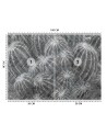 Ekskluzywne fototapety - Kaktusy w szarości | FEEBY