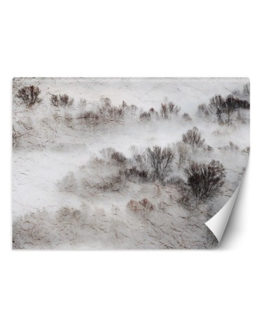 The most fashionable Wallpapers for the living room - Meadow mist trees | FEEBY