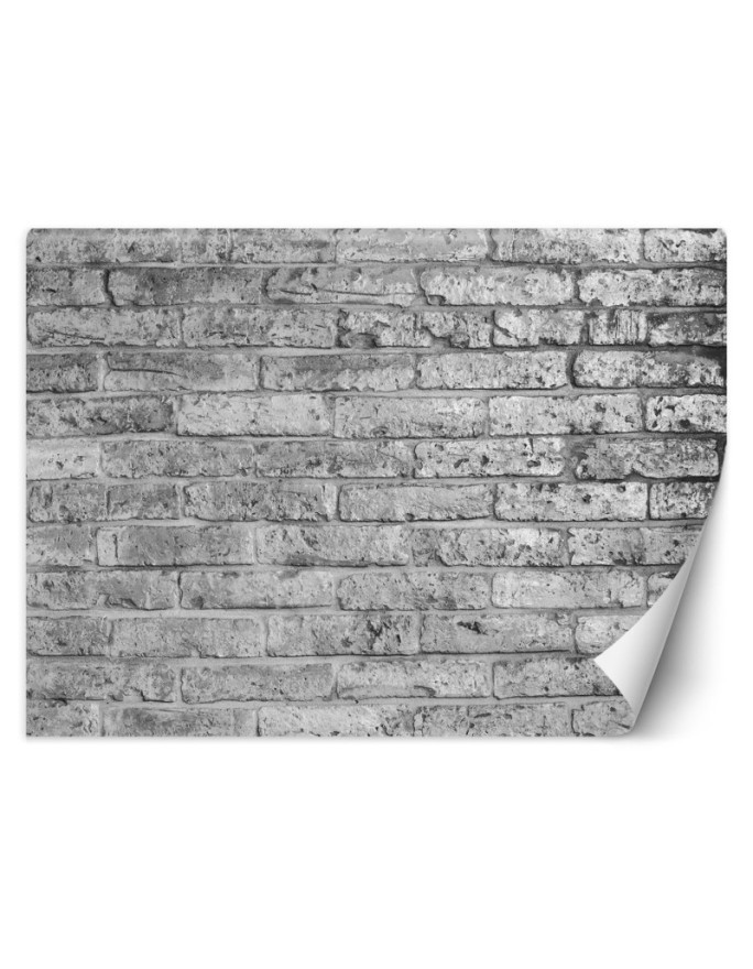 Najnowsze fototapety do salonu - Mur z szarych cegieł | FEEBY