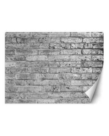 Najnowsze fototapety do salonu - Mur z szarych cegieł | FEEBY