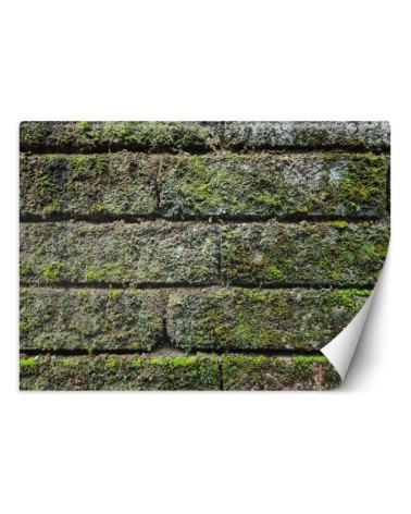 Texture wall murals for living room - Brick moss | FEEBY