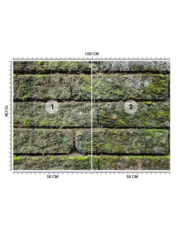 Fototapety tekstury do salonu - Mur cegła mech | FEEBY