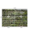 Fototapety tekstury do salonu - Mur cegła mech | FEEBY