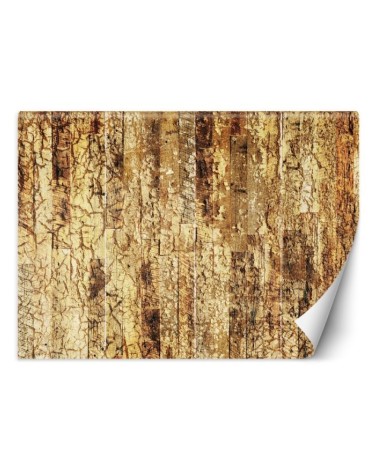 Original wall murals - Old Wood Gold | FEEBY
