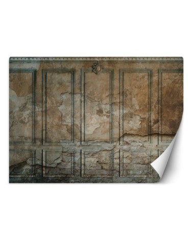 The most fashionable wall murals for the living room - Dark Old Wall | FEEBY