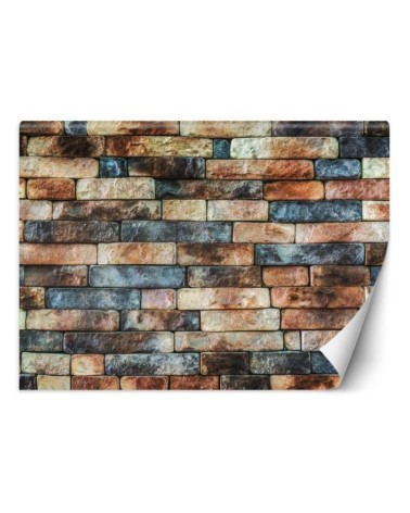 Texture wall mural - Coloured sandstone wall | FEEBY