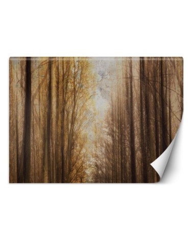 Unique wall murals for the living room - Autumn Forest Trees | FEEBY