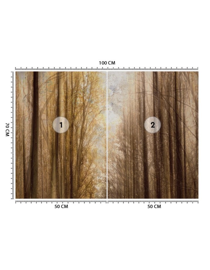Wyjątkowe fototapety do salonu - Jesień Las Drzewa | FEEBY