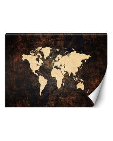 The most fashionable wall murals for the living room - World map brown | FEEBY