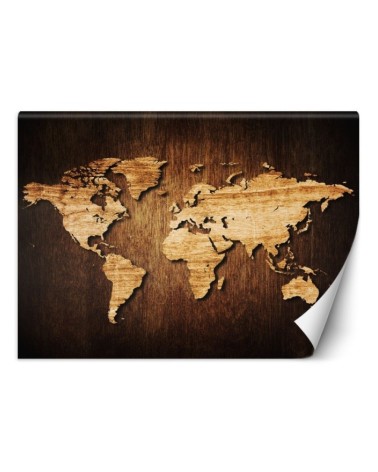 Stylish wall murals for living room - World map | FEEBY