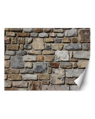 Texture wall murals for living room - Stone wall with sandstone | FEEBY