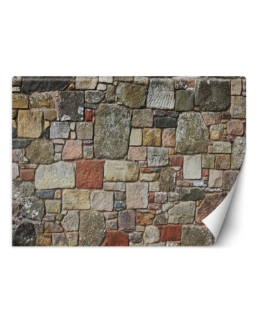 Texture wall mural for living room - Ornamental stone | FEEBY