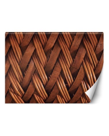 Beautiful wall murals for the living room - 3D wicker weave | FEEBY