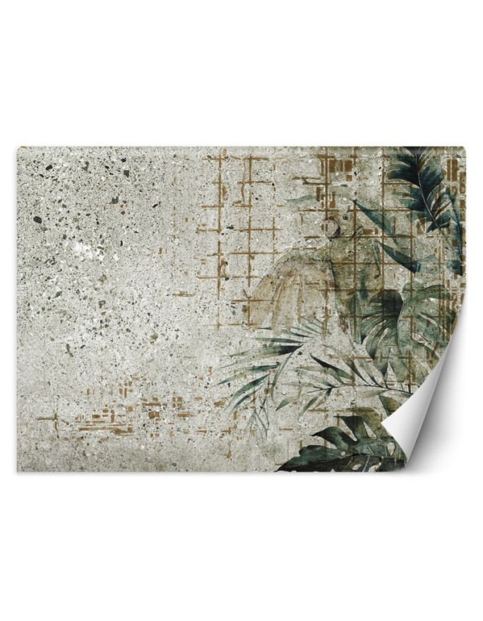 Modne fototapety - Beton Papuga Ptak Liście Monstera Zielony | FEEBY