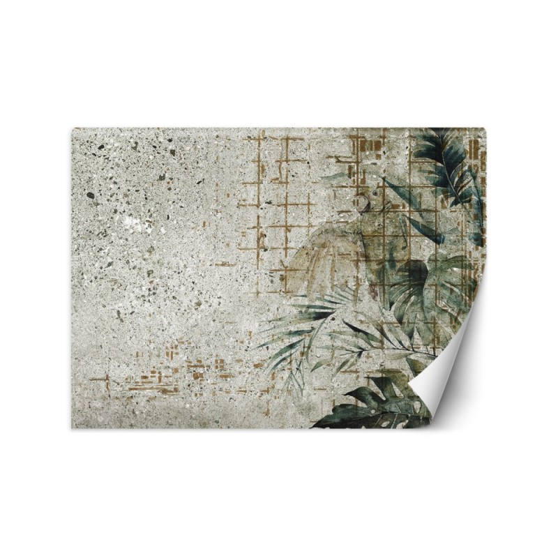 Modne fototapety - Beton Papuga Ptak Liście Monstera Zielony | FEEBY