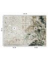 Modne fototapety - Beton Papuga Ptak Liście Monstera Zielony | FEEBY