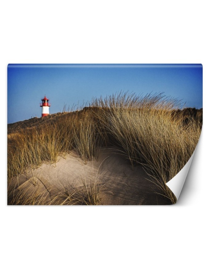 Beautiful Wallpapers - Lighthouse dunes grasses sea | FEEBY