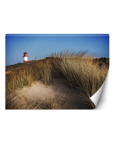 Beautiful Wallpapers - Lighthouse dunes grasses sea | FEEBY