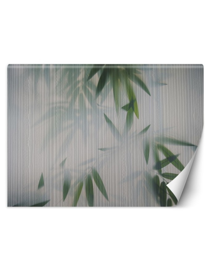 Nowoczesne fototapety - Liście mgła natura | FEEBY