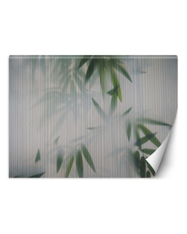 Modern Wallpapers - Nature mist leaves | FEEBY