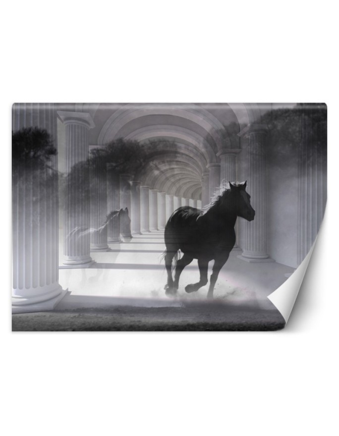Oryginalne fototapety - Tunel biegnący koń efekt 3D | FEEBY