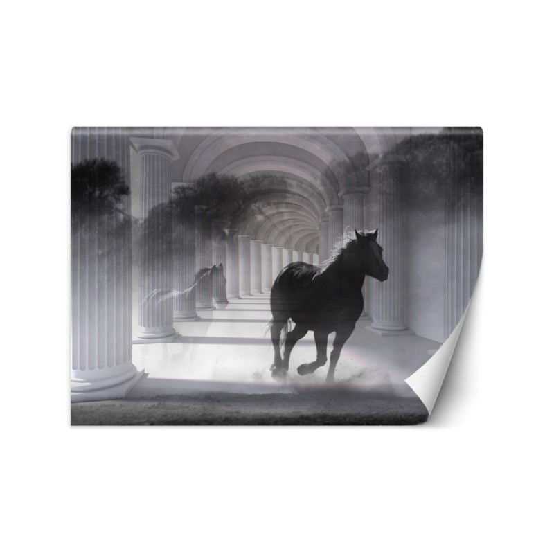Oryginalne fototapety - Tunel biegnący koń efekt 3D | FEEBY