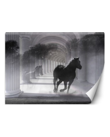 Oryginalne fototapety - Tunel biegnący koń efekt 3D | FEEBY
